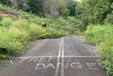 Trees grow across a landslip that has cut a road. "Extreme danger" has been spray-painted on the asphalt.