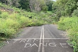 Trees grow across a landslip that has cut a road. "Extreme danger" has been spray-painted on the asphalt.