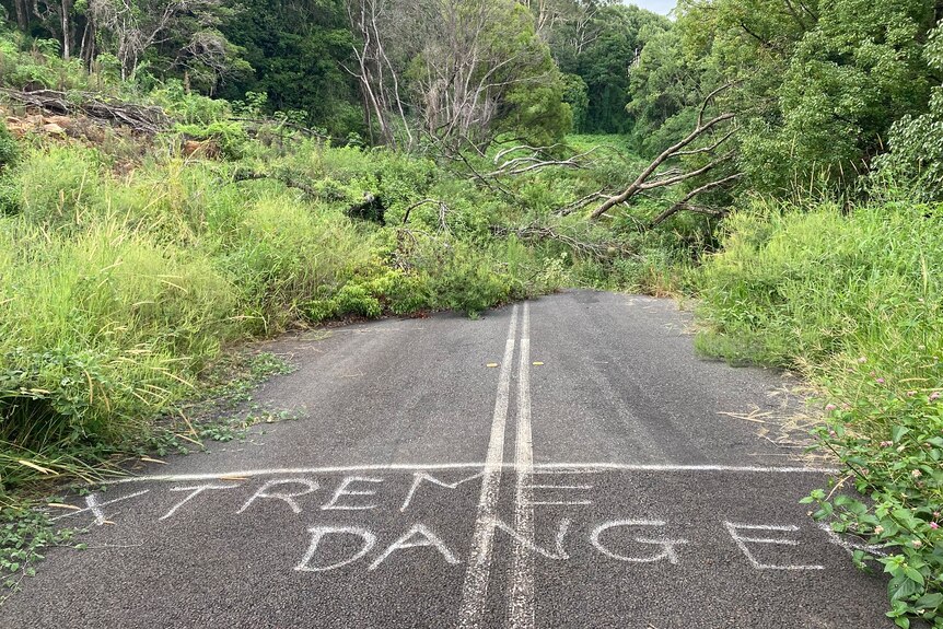 Trees grow across a landslip that has cut a road with extreme danger painted on it