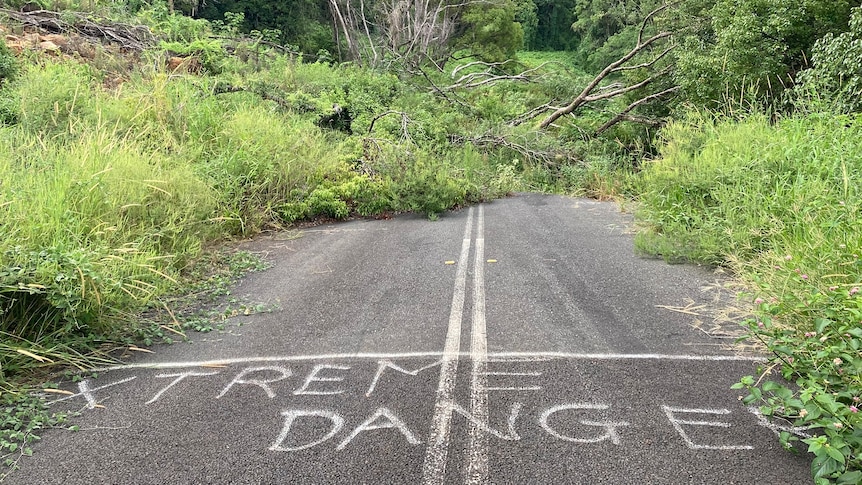 Trees grow across a landslip that has cut a road. "Extreme danger" has been spray-painted on the asphalt.