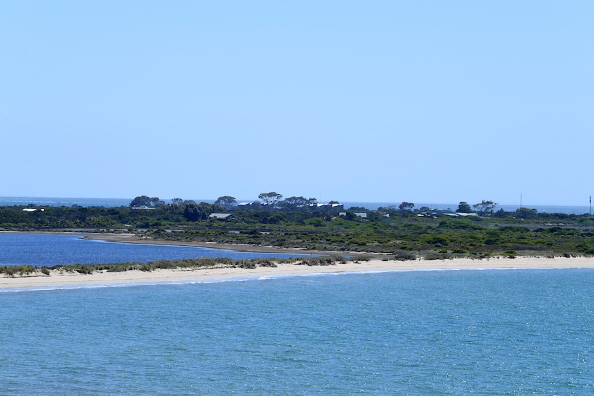Swan Island, with bushland growing on the island, photographed from afar in daylight.