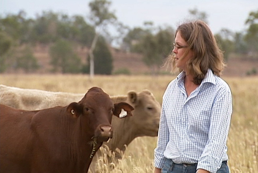 Graziers losing battle to stop coal mine expansion
