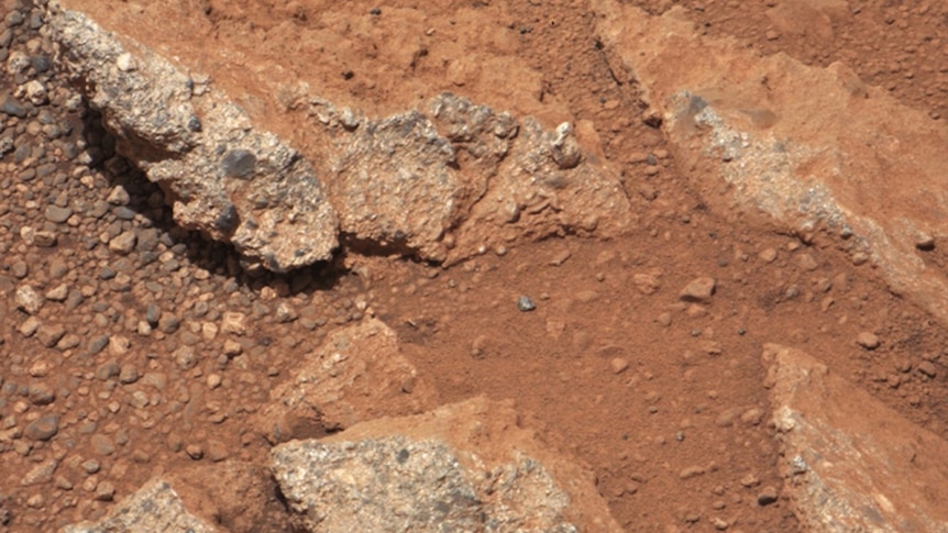 Close up of Martian conglomerate in containing rounded pebbles that were transported by liquid water to their current location.