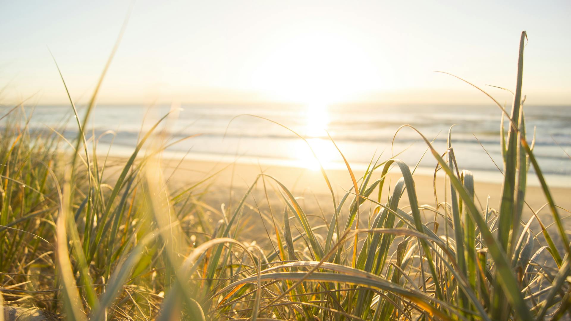Keeping your vitamin D levels up during Winter - ABC listen