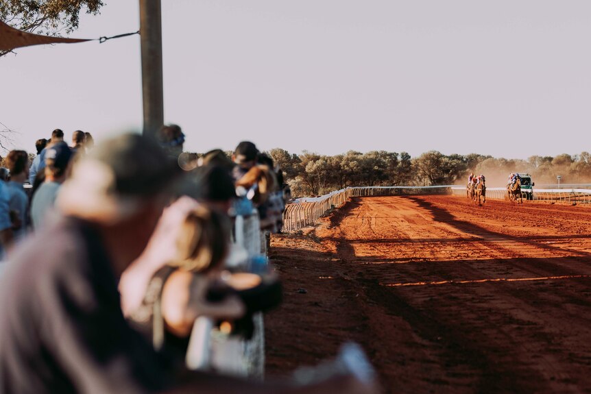 The crowd watches horses running at a country track. 