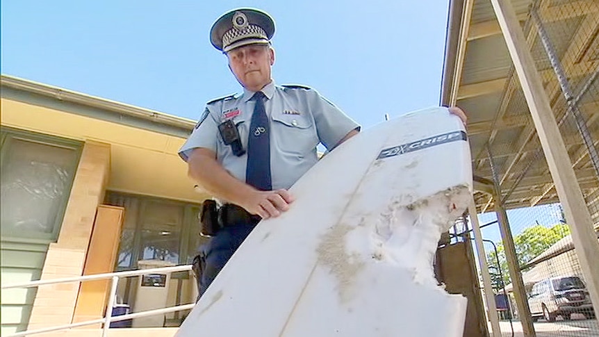 A police officer holds a surfboard which has a large bite mark taken out of the middle