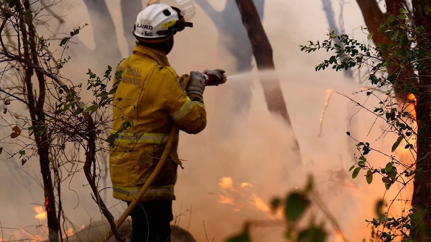 A firefighter using a hose to extinguish flames in the bush.