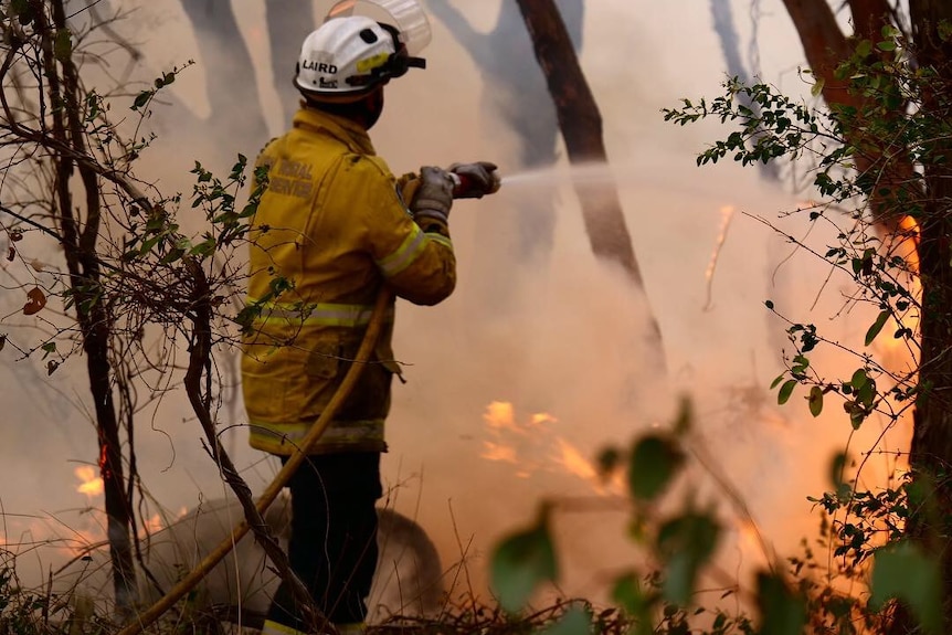 A firefighter using a hose to extinguish flames in the bush.