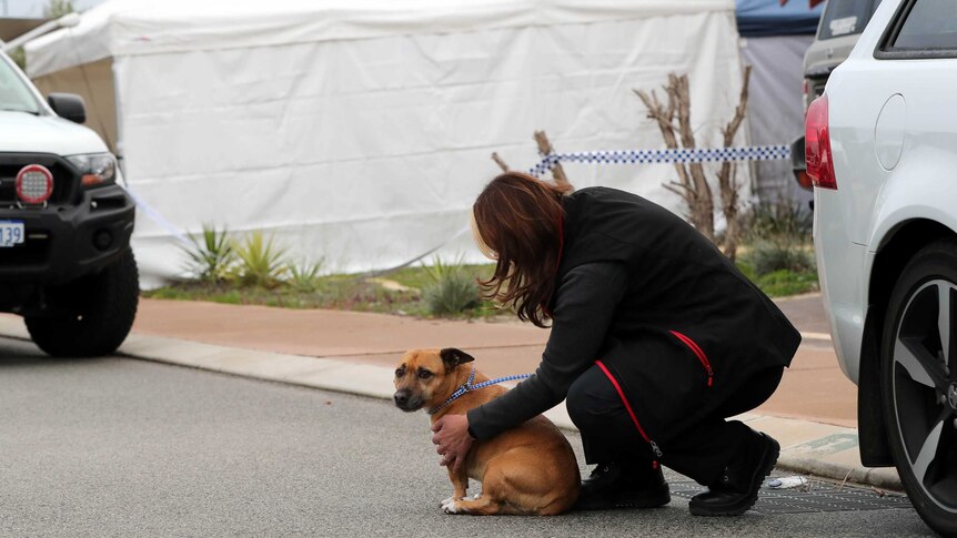 A woman kneels down on a road between next to a small brown dog between two cars with a police tent behind.
