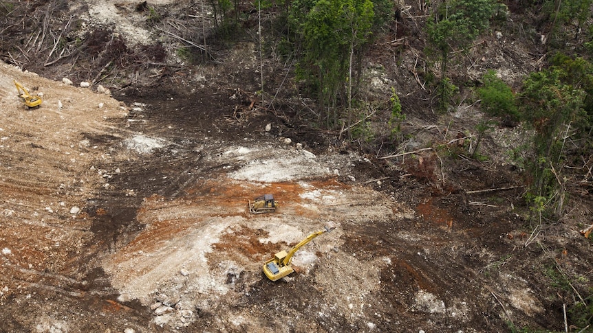 Logging in Papua New Guinea