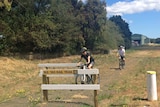 Cyclists approach the North-East rail trail in Tasmania
