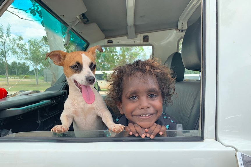 A dog and a boy smile out a car window