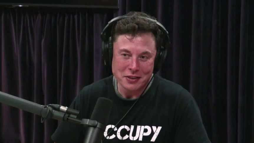 Elon Musk speaks into a microphone.