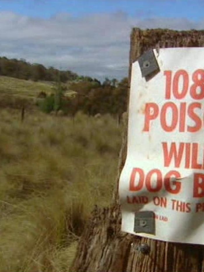 Landholder fined for misusing dog bait - ABC News