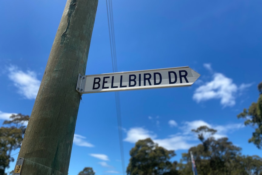 Bellbird drive street sign