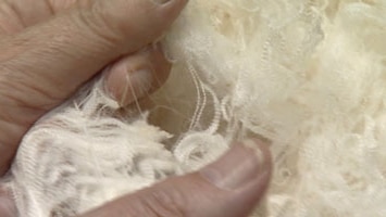 Making wool super white