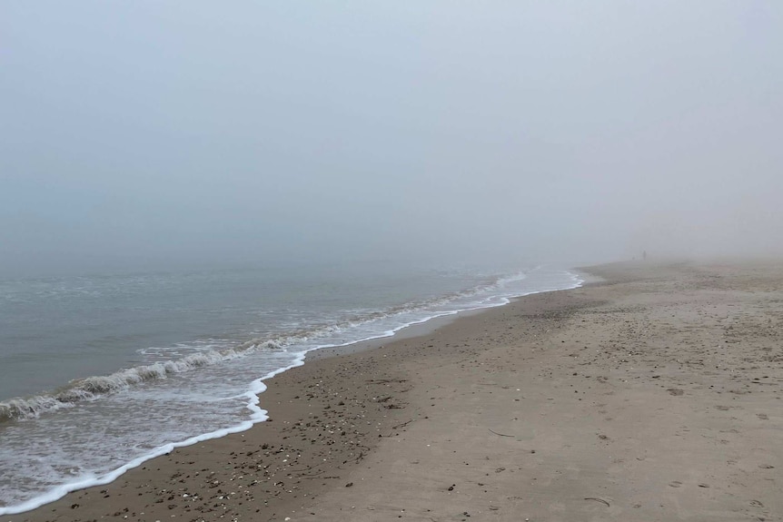 Fog over a beach