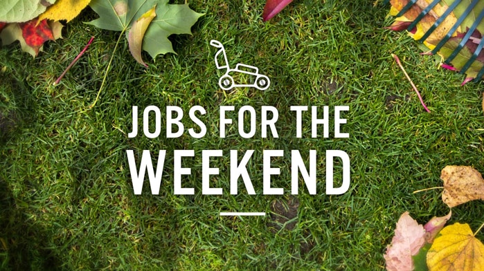 Graphic with leaves being raked on lawn with text 'Jobs for the Weekend'