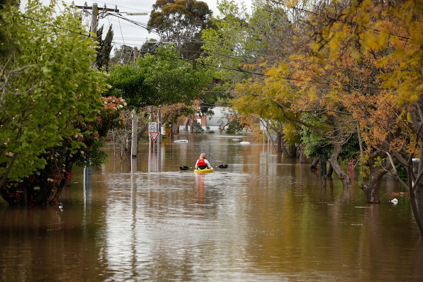 A person paddles in a canoe down a flooded street.