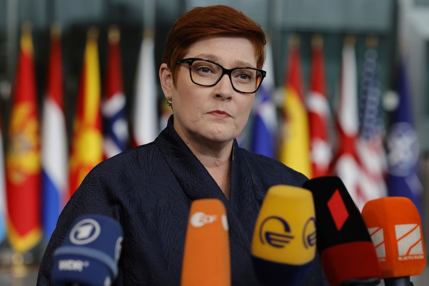 Payne stands, lips pursed, at a lectern in front of microphones bearing international media logos.