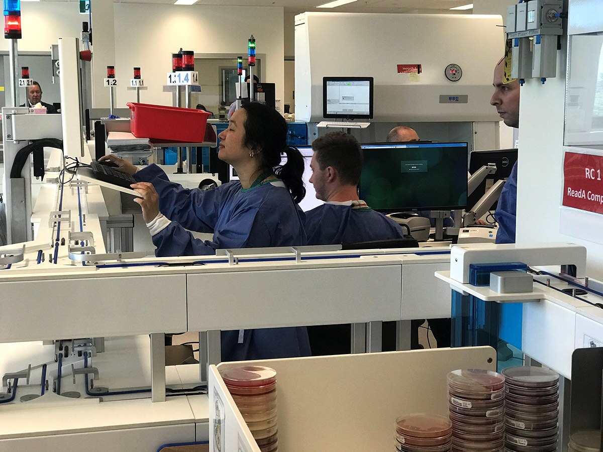 Conveyor belt at new Royal Adelaide Hospital microbiology laboratory a