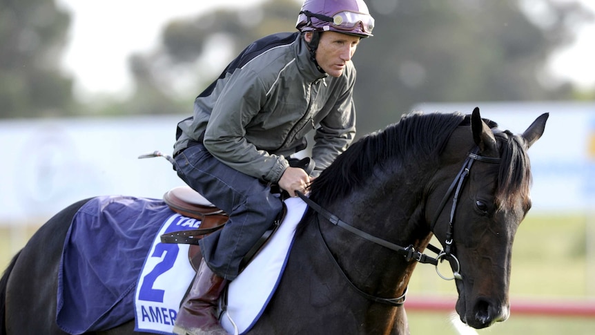 Damien Oliver rides trackwork aboard Americain