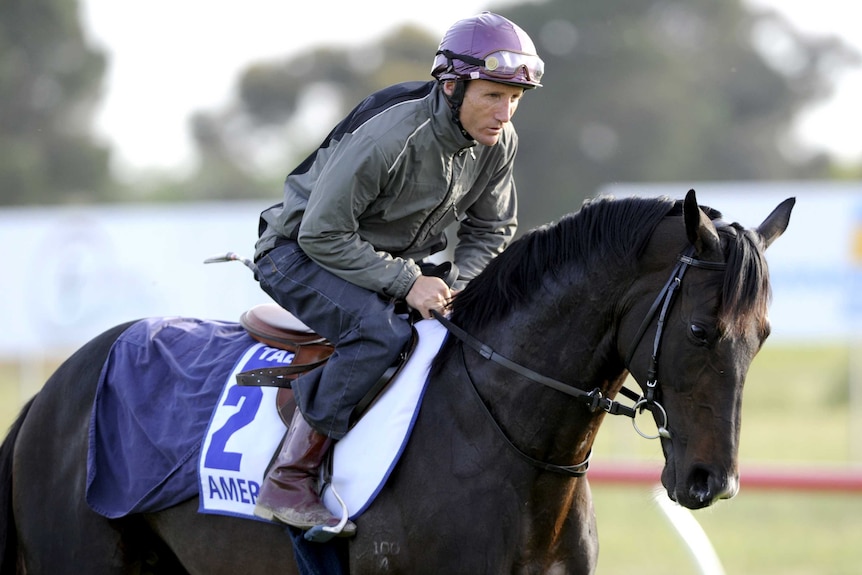 Damien Oliver rides trackwork aboard Americain