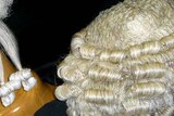 Lawyers wigs