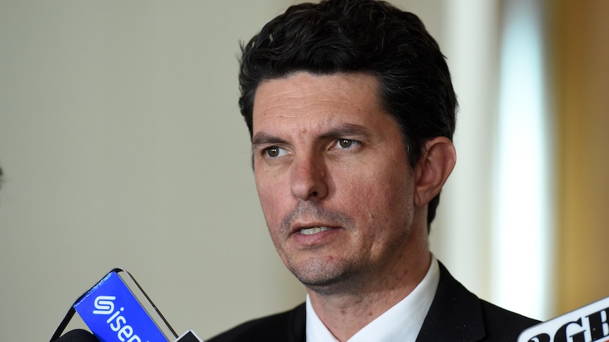 Greens senator Scott Ludlam says abolishing negative gearing could improve housing affordability.