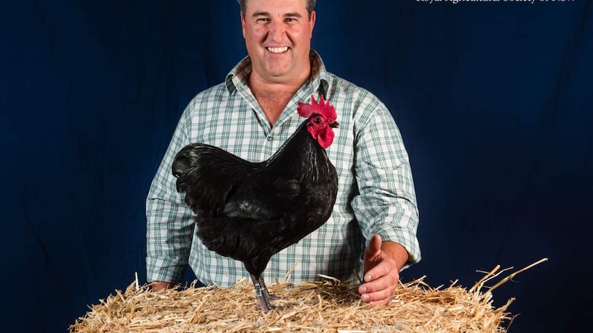 Damien Cook smiles as his chook stands on a bail of hay