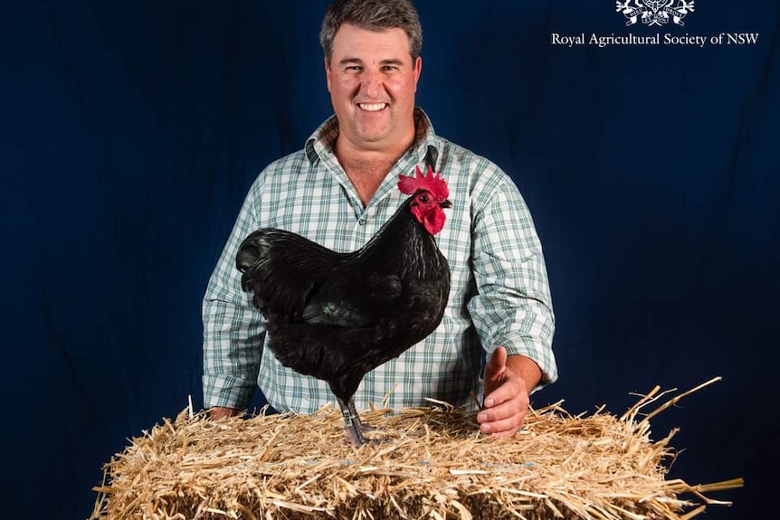 Damien Cook smiles as his chook stands on a bail of hay
