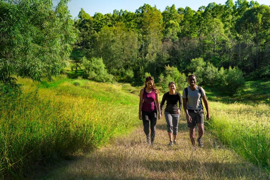 Three hikers in a park.