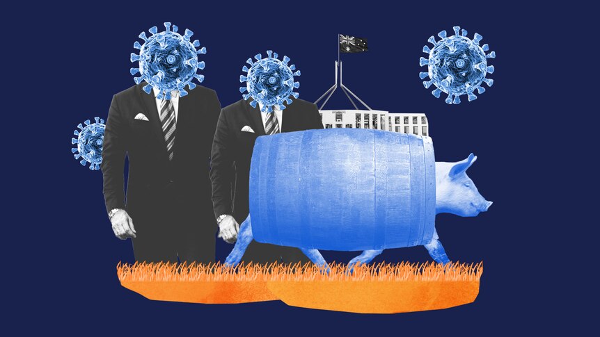 A collage-style illustration includes a pig with a barrel around its middle, men in suits with COVID heads, and Parliament House