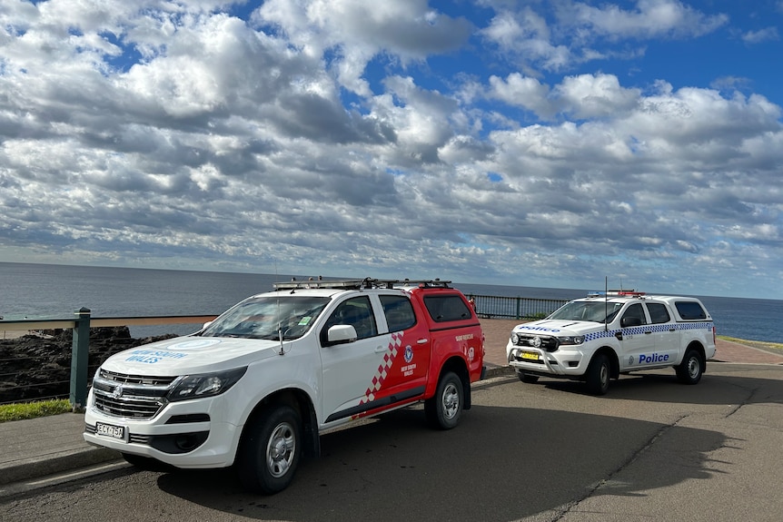 A police car and a rescue vehicle parked on a bluff overlooking the ocean.