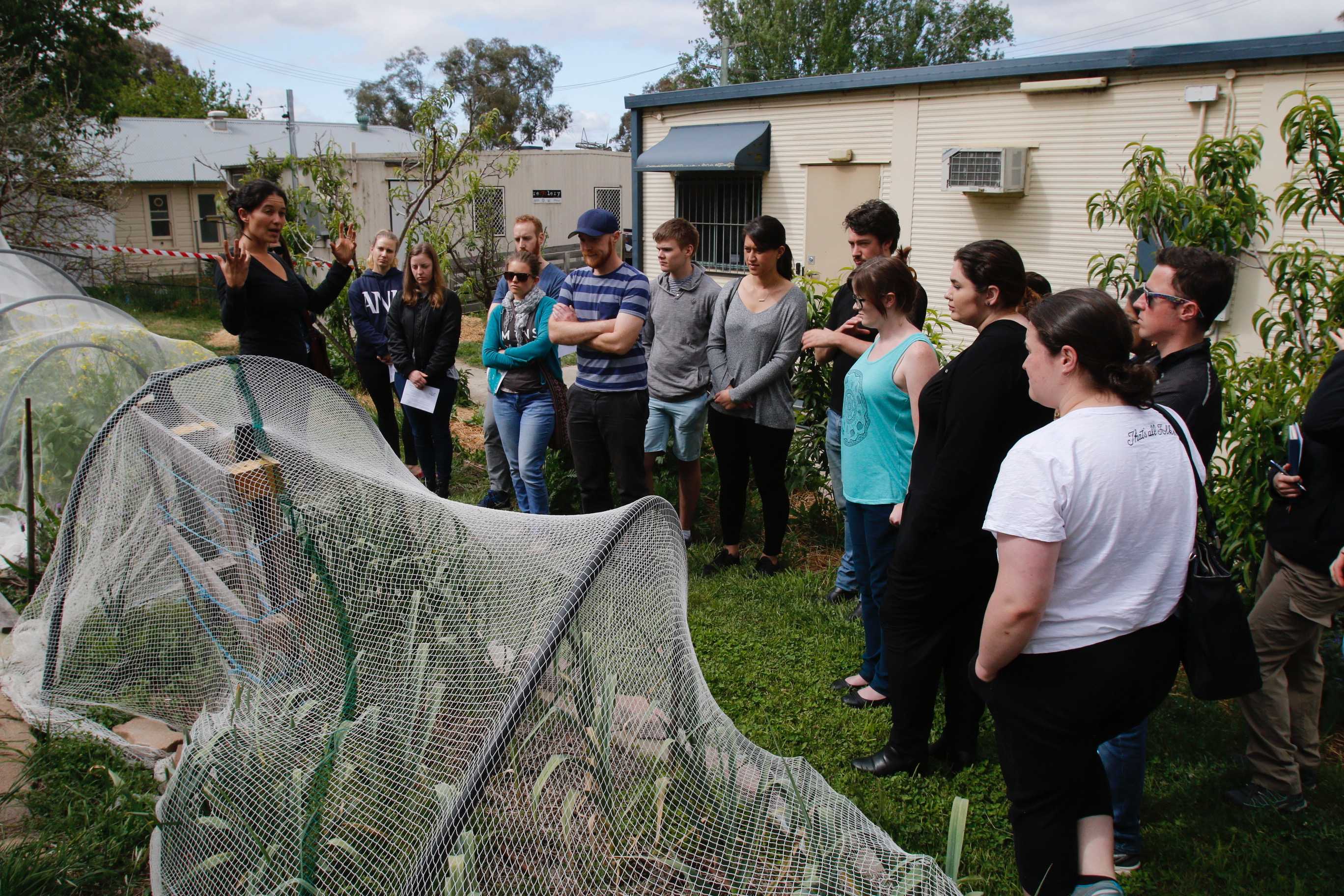 Canberra gardeningforrenters covers tips and tricks for