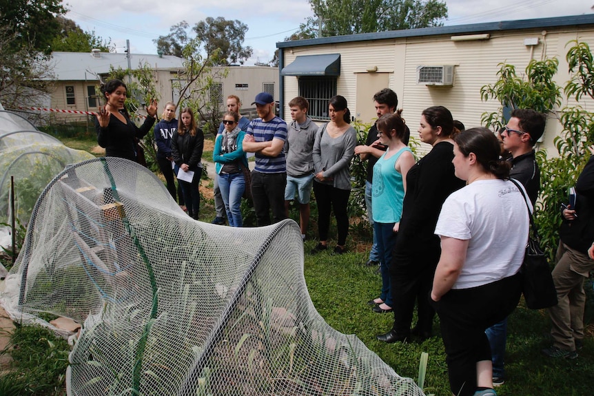 A group of people standing at a Canberra gardening workshop