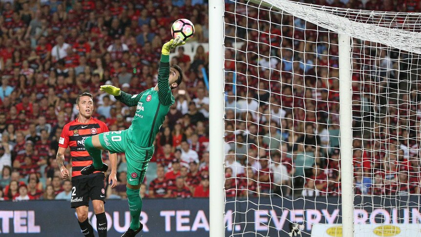 Vedran Janjetovic makes a save against Sydney FC