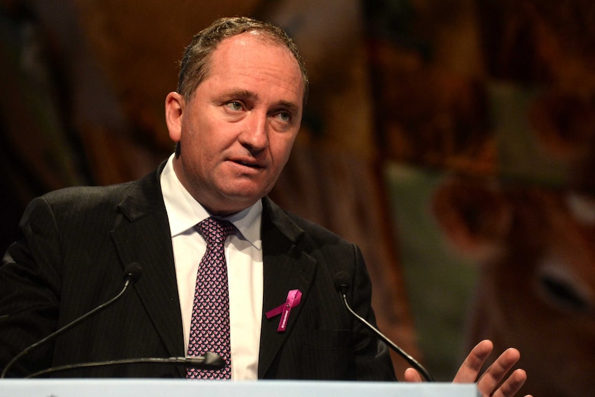 Agriculture Minister Barnaby Joyce speaks at the ABARES conference