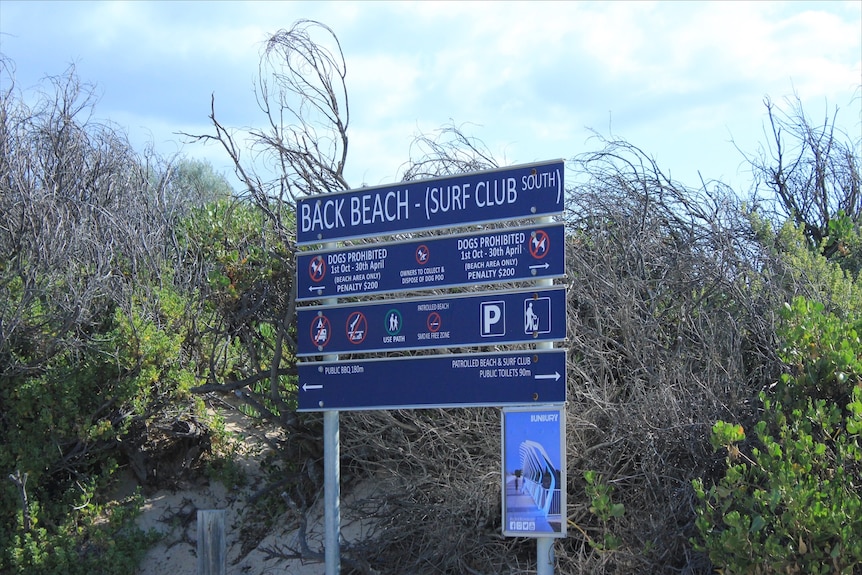 A photo of a sign at the beach.