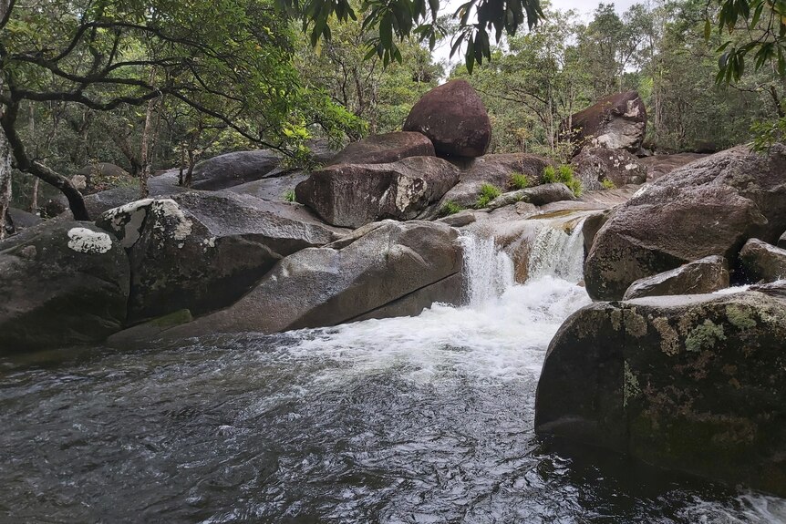 A natural waterhole surrounded by rocks and trees with a small waterfall.
