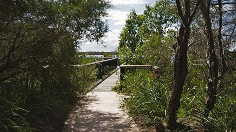 A path leads to a bridge through a wooded area of trees