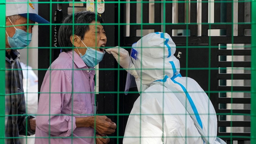 A person in a purple shirt has their masked pulled down to their chin, opening their mouth for a swab by someone in full PPE