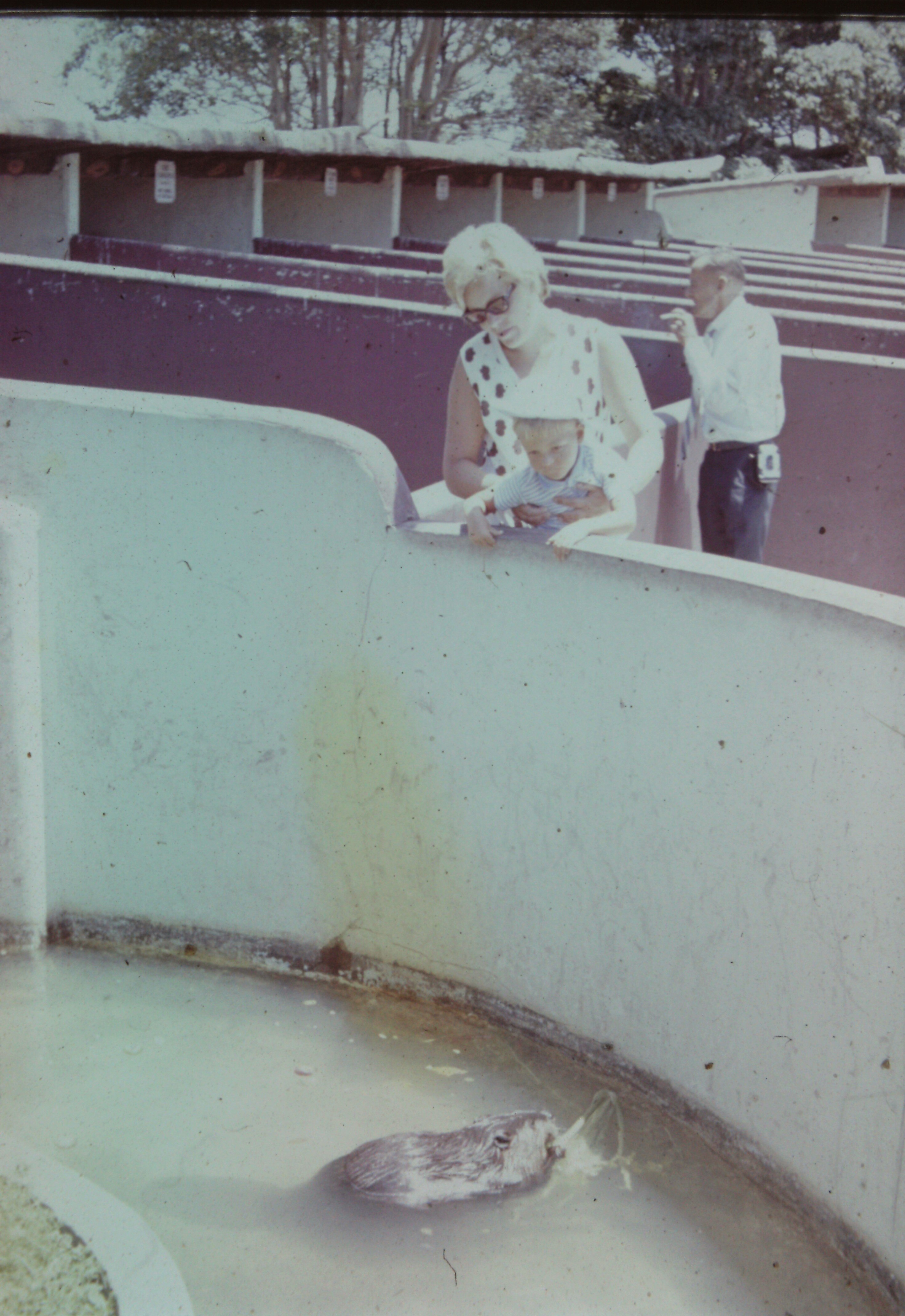 A woman lifts a young boy to see into an animal enclosure that has water running around its edge 