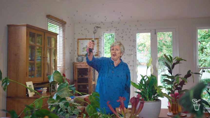 Woman waving kitchen utensil at 'bugs' flying in around in a living room