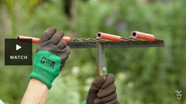 Plastic tubes being placed on a rake spines. Has Video.