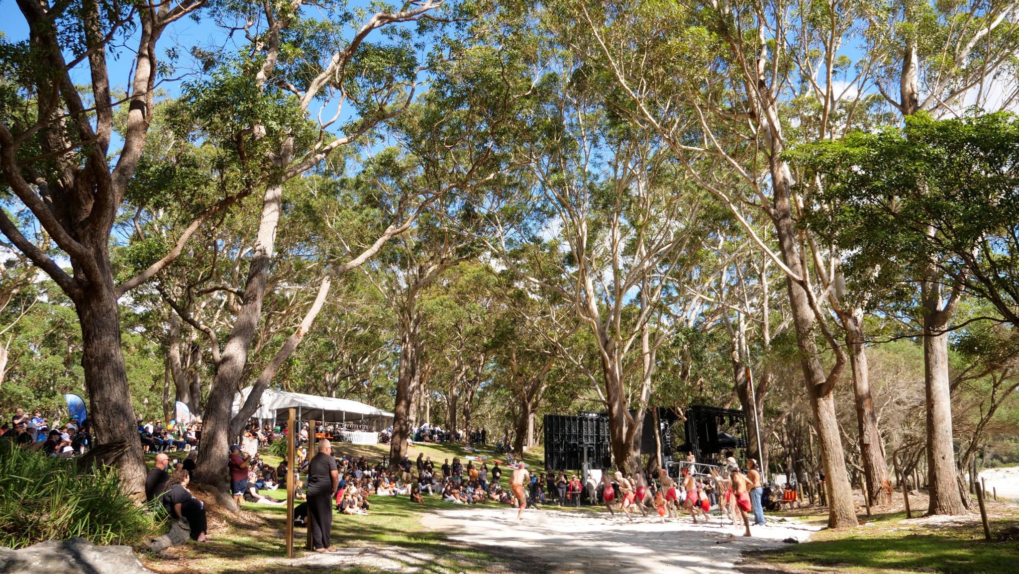 Сцена с деревьями, на которой танцоры из числа коренных народов наблюдают за происходящим.