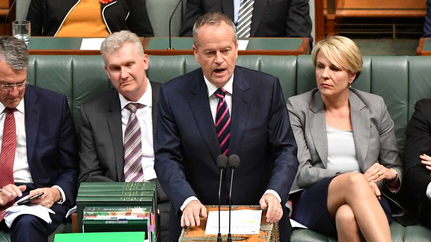 Labor leader Bill Shorten stands at a microphone, with his parliamentary colleagues sitting behind him.