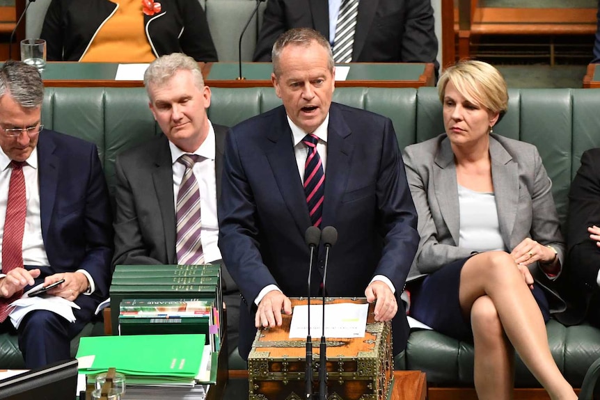 Labor leader Bill Shorten stands at a microphone, with his parliamentary colleagues sitting behind him.