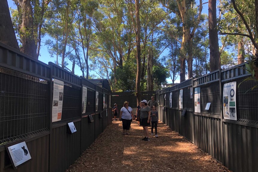 An animal treatment facility with a bark-chipped path between rows of buildings.