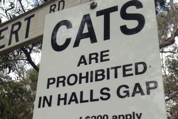 A sign reading Cats are Prohibited in Halls Gap